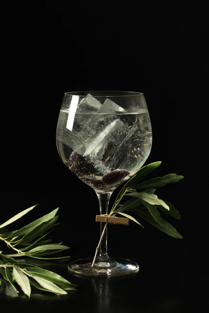 Gin Tonic
